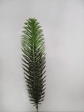 Название картинки