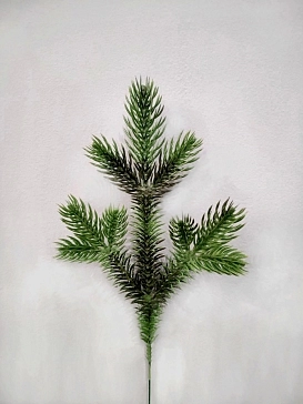 Название картинки